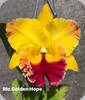 Rlc. Golden Hope